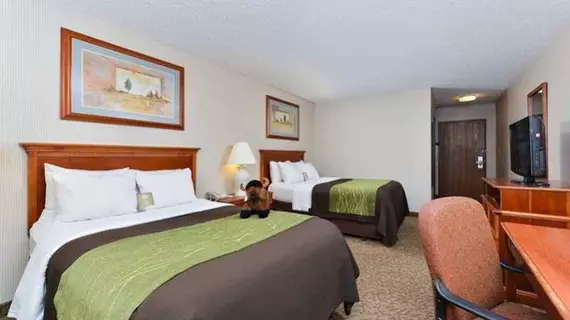 Comfort Inn at Buffalo Bill Village Resort | Wyoming - Cody (ve civarı) - Cody