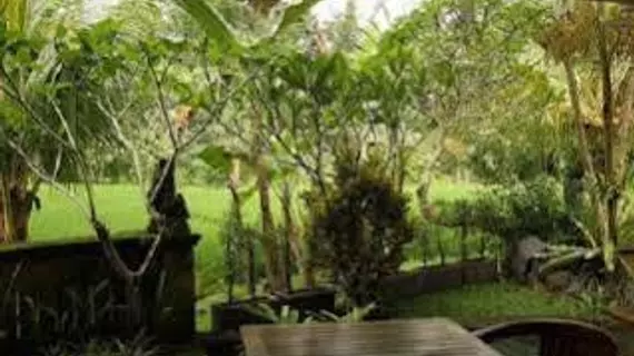 Jati Homestay | Bali - Ubud - Ubud Kent Merkezi