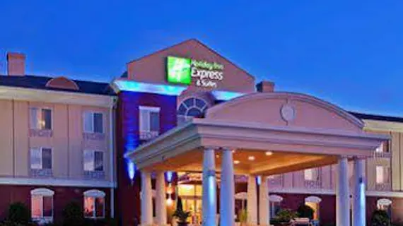 Holiday Inn Express Hotel & Suites Dothan North | Alabama - Dothan (ve civarı) - Dothan