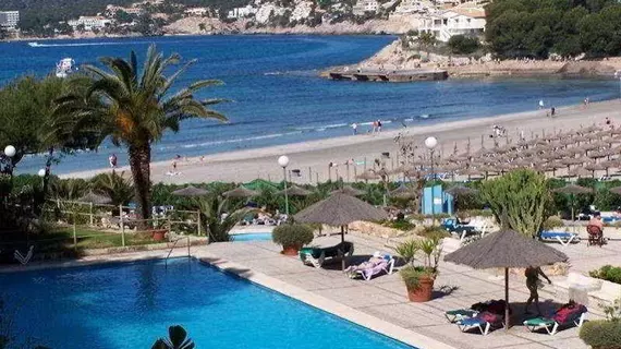 Hotel Beverly Playa | Balearic Adaları - Mayorka Adası - Calvia - Peguera