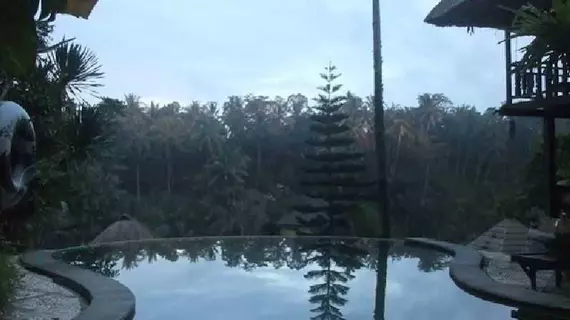 Graha Moding Villas | Bali - Ubud - Petulu