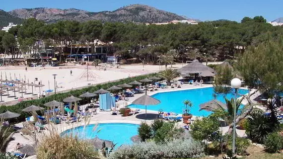 Hotel Beverly Playa | Balearic Adaları - Mayorka Adası - Calvia - Peguera