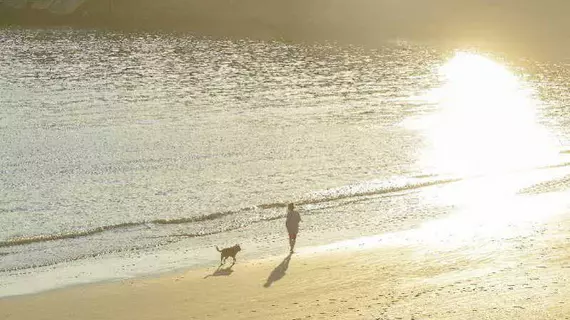 Le Grand de la Plage | Nouvelle-Aquitaine - Charente-Maritime (bölge) - Royan - Pontaillac