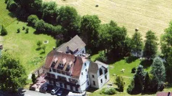 Logis Hotel Des Vosges | Grand Est - Haut-Rhin (bölge) - Sewen