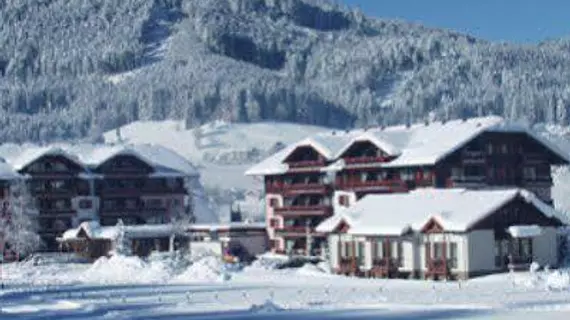 Vitalhotel Gosau | Upper Austria (Yukarı Avusturya) - Gosau