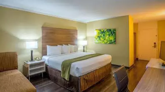 Wyndham Garden Washington DC North BW Parkway | Maryland - College Park (ve civarı) - Hyattsville