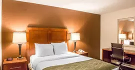 Hampton Inn ChattanoogaDowntown | Tennessee - Chattanooga (ve civarı) - Chattanooga - Downtown Chattanooga