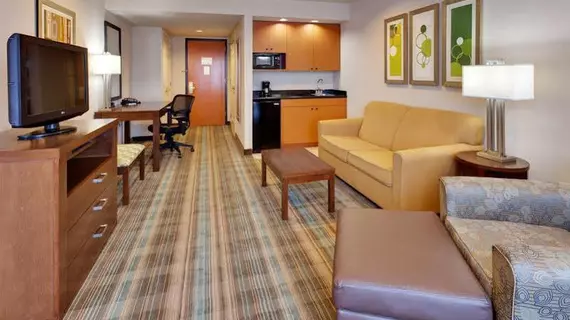 Holiday Inn Express San Francisco Airport North | Kaliforniya - San Fransisko (ve civarı) - South San Francisco