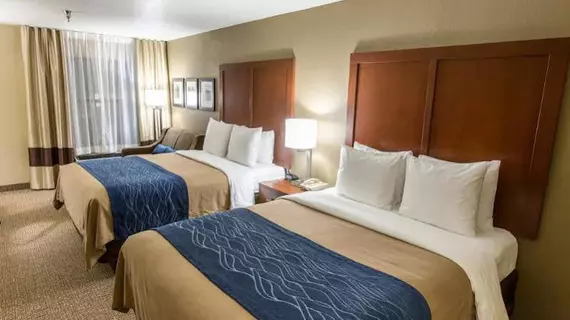 Comfort Inn and Suites | Missouri - Springfield (ve civarı) - Springfield