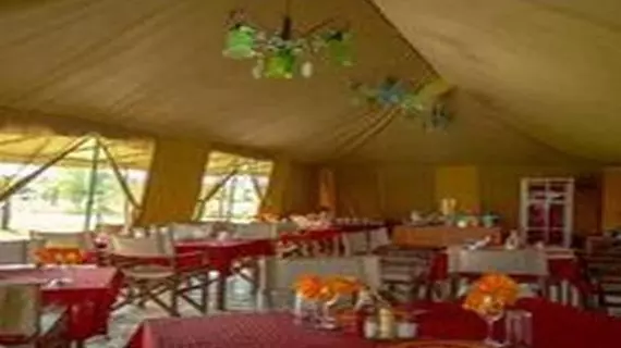 Kisura Serengeti Tented Camp | Serengeti Ulusal Parkı