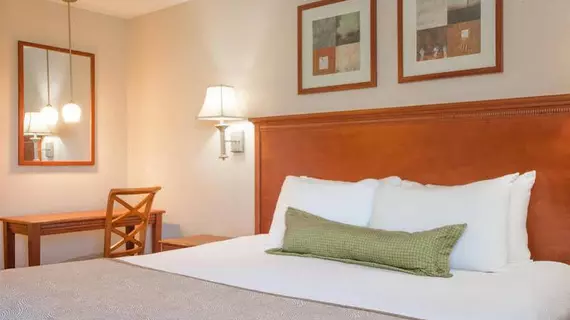 Candlewood Suites Aberdeen-Edgewood-Bel Air | Maryland - Bel Air