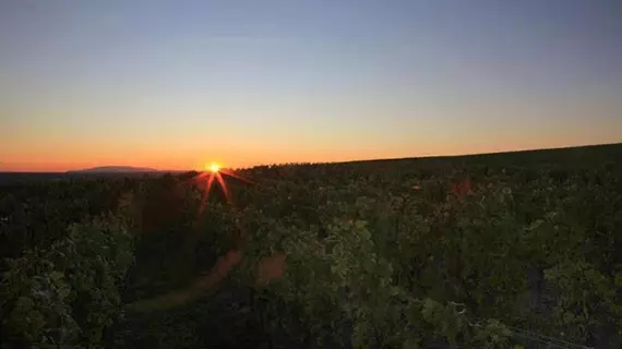 Landgut Schill | Rhineland-Palatinate - Osthofen