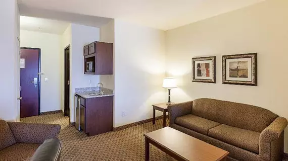 Comfort Suites Stone Oak | Teksas - San Antonio (ve civarı) - San Antonio - Kuzey San Antonio - SAT Havalimanı