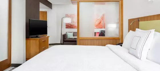 SPRINGHILL SUITES SAN DIEGO MISSION VALLEY | Kaliforniya - San Diego County - San Diego - Mission Valley