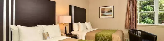 Comfort Inn Halifax | Nova Scotia - Halifax (ve civarı) - Halifax