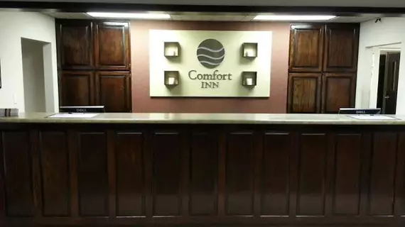 Comfort Inn Mountain Home | Arkansas - Mountain Home (ve civarı) - Mountain Home