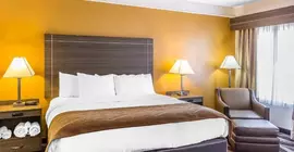 Comfort Inn San Antonio | Teksas - San Antonio (ve civarı) - San Antonio