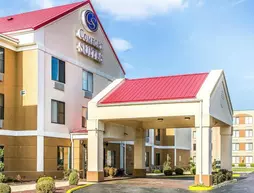 Comfort Suites Lansing | İllinois - Lansing