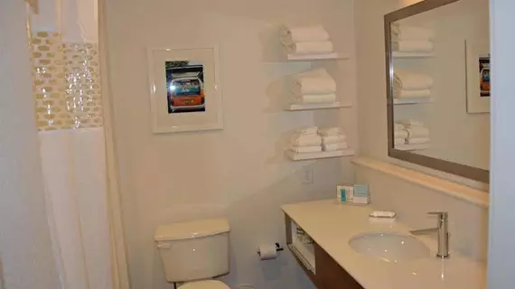 Hampton Inn AlbanyWestern Ave/University Area | New York - Albany (ve civarı) - Albany