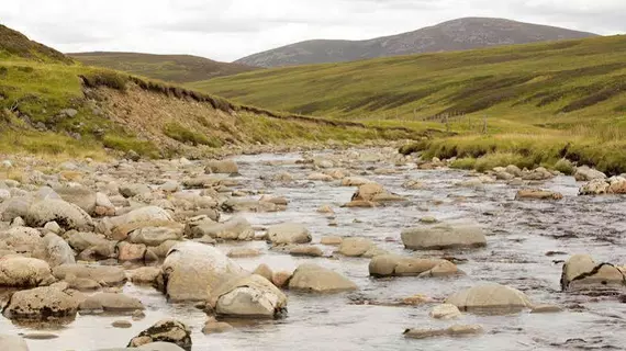 Aviemore Highlands | İskoçya - Scottish Highlands - Aviemore