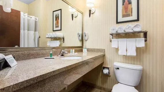 Comfort Suites Cullman | Alabama - Cullman (ve civarı) - Cullman