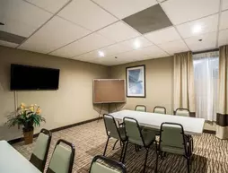 Comfort Inn & Suites Downtown | Missouri - St. Louis (ve civarı) - Hazelwood