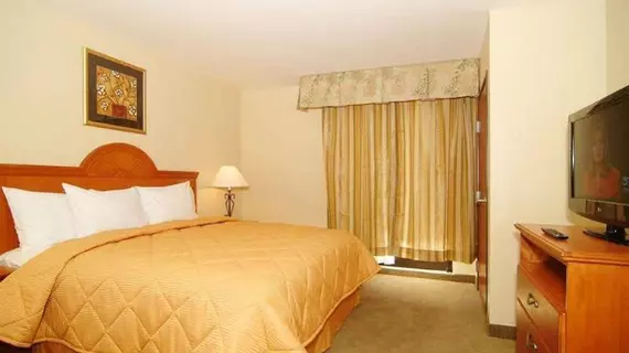 Comfort Inn Ogden | Utah - Ogden (ve civarı) - Ogden