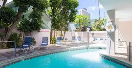 Ilima Hotel | Hawaii - Honolulu - Waikiki