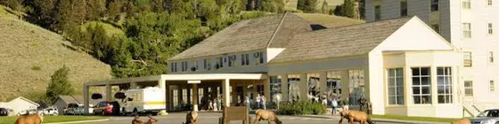 The Mammoth Hot Springs | Wyoming - Yellowstone Ulusal Parkı - Mammoth Hot Springs