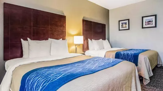 Comfort Inn Atlanta Downtown South | Georgia - Atlanta (ve civarı) - Atlanta