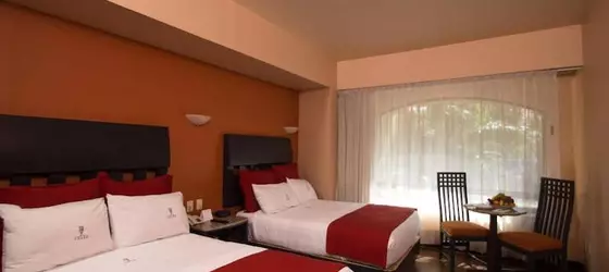 Hotel Celta | Jalisco - Guadalajara (ve civarı) - Guadalajara - Zona Expo