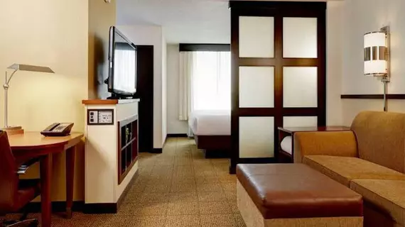 Hyatt Place Savannah Airport | Georgia - Savannah (ve civarı) - Savana