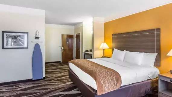 Comfort Inn San Antonio | Teksas - San Antonio (ve civarı) - San Antonio