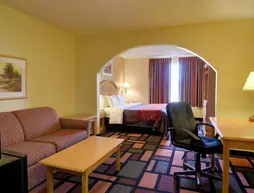 Comfort Inn Malvern | Arkansas - Hot Springs (ve civarı) - Malvern