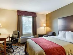 Comfort Inn Auburn | Massachusetts - Worcester (ve civarı) - Auburn