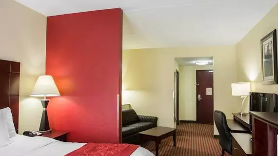 Comfort Suites Mount Juliet | Tennessee - Nashville-Davidson - Nashville (ve civarı) - Mount Juliet