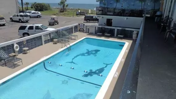 Sea Hawk Motel | Güney Karolayna - Myrtle Plajı (ve civarı) - Myrtle Beach