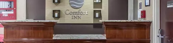 Comfort Inn New York Staten Island | New York - New York (ve civarı) - Staten Island