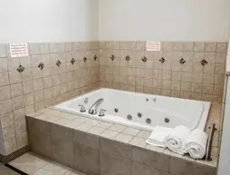 Comfort Suites South Elkhart | Indiana - South Bend (ve civarı) - Elkhart