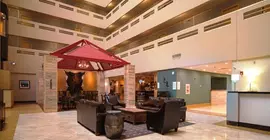 Holiday Inn Denver East - Stapleton | Kolorado - Denver (ve civarı) - Denver - Northeast Park Hill