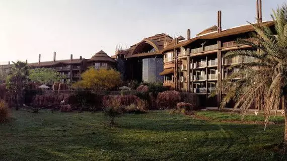 Disney's Animal Kingdom Lodge | Florida - Orlando (ve civarı) - Lake Buena Vista - Bay Lake