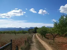 Can Brusquer | Balearic Adaları - Mayorka Adası - Pla de Mallorca