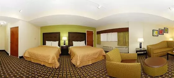 Comfort Inn and Suites | Güney Karolayna - Greenville - Spartanburg (ve civarı) - Greenville