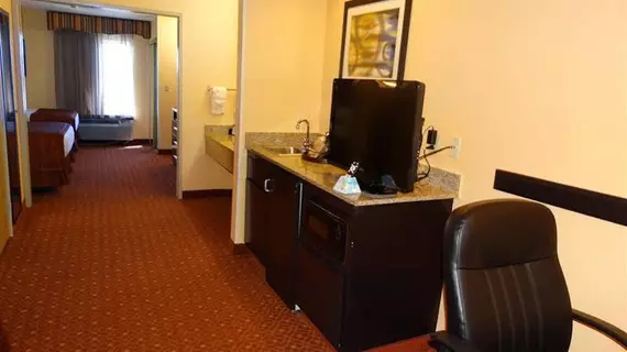 Best Western Plus Carlton Suites - Birmingham | Alabama - Birmingham (ve civarı) - Homewood