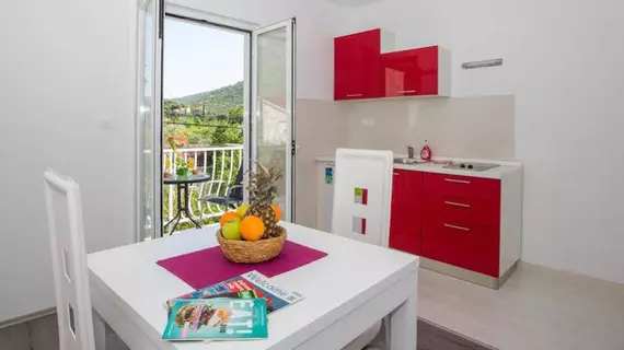 Apartments Villa Roza | Dubrovnik-Neretva - Dubrovnik (ve civarı) - Dubrovnik - Prijevor