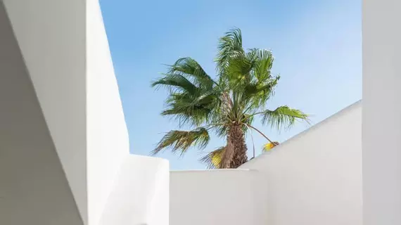 Mediterranean White | Ege Adaları - Santorini