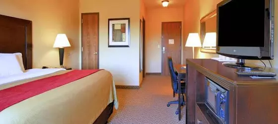 Comfort Inn & Suites Scottsboro | Alabama - Scottsboro (ve civarı) - Scottsboro