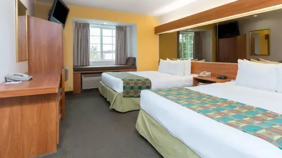 Microtel Inn & Suites Springfield | İllinois - Springfield (ve civarı) - Springfield