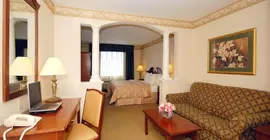 Comfort Inn & Suites East Greenbush | New York - Albany (ve civarı) - Castleton-on-Hudson