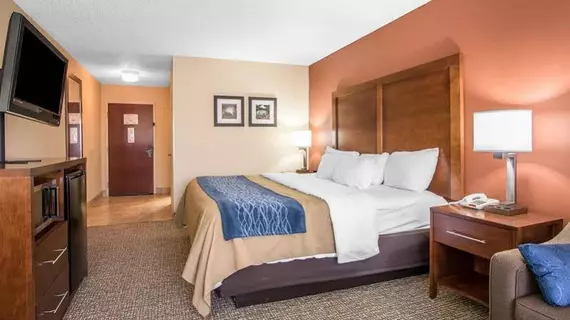 Comfort Inn Livingston | Alabama - Demopolis (ve civarı) - Livingston